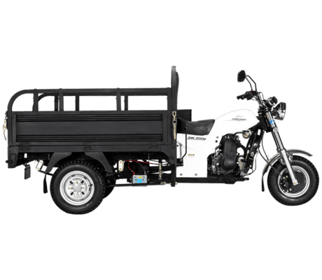 TRIMOTO DE CARGA   [ GALVEZ 300  ]